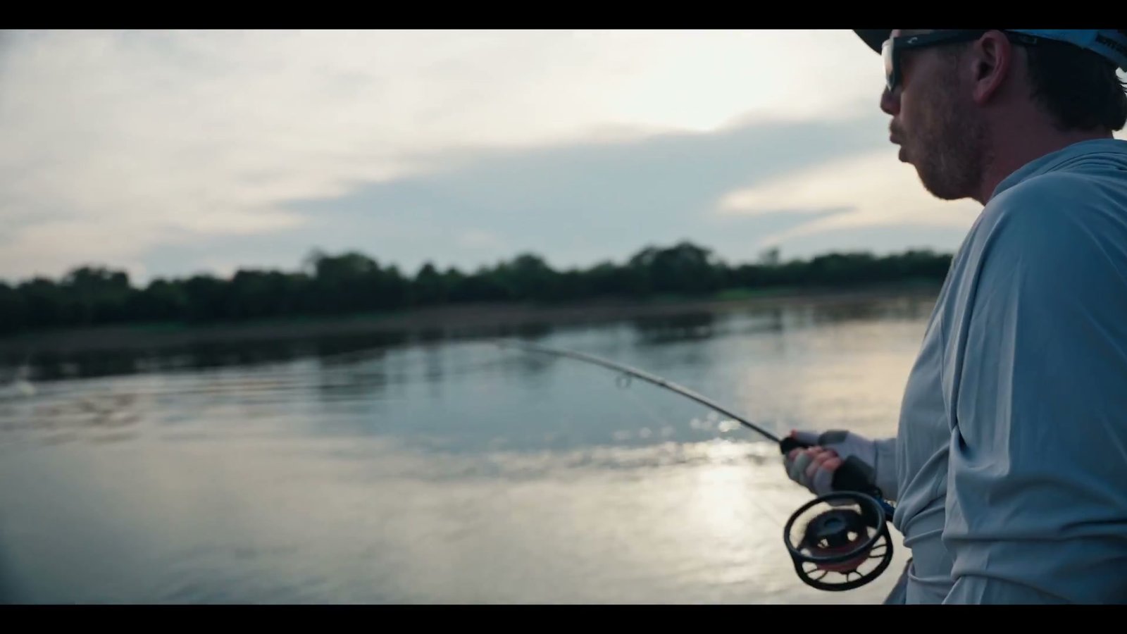 Arapaima — Short