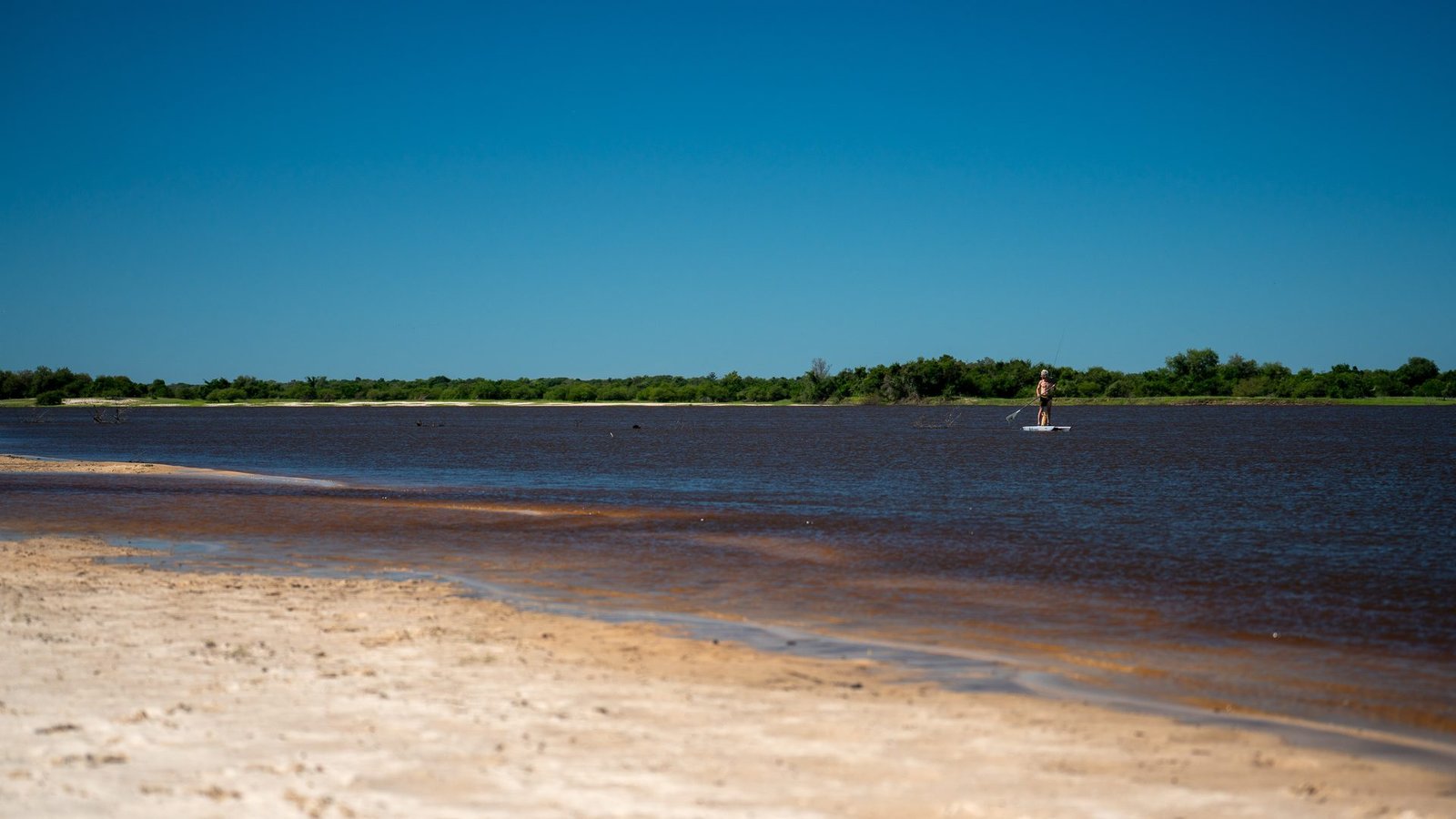 Aurum Lodge — foto 5