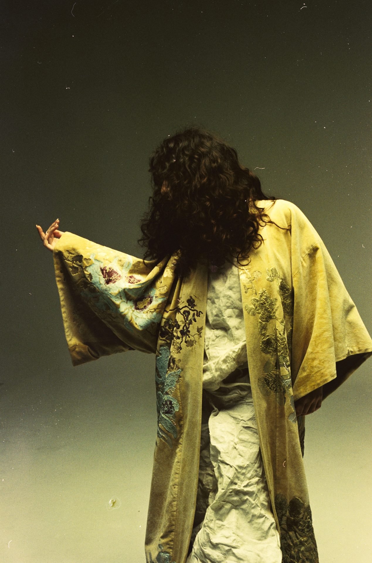 Guillermina Lynch — foto 4